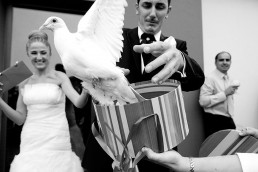 Fotografias creativas de boda - fotogarfias de bodas artisticas de boda (27)
